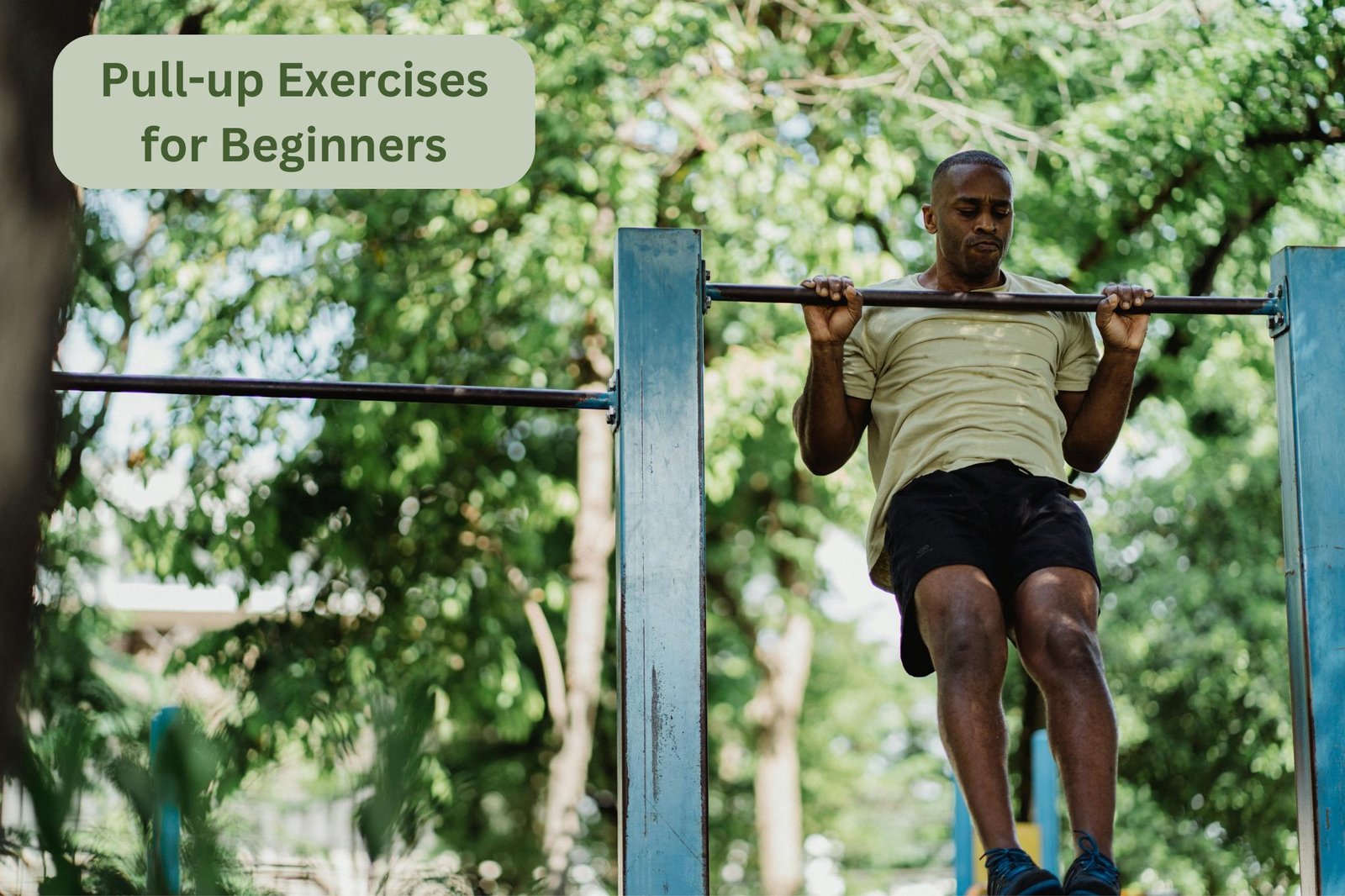 Mastering Pull-up Exercises for Beginners Your Ultimate Guide