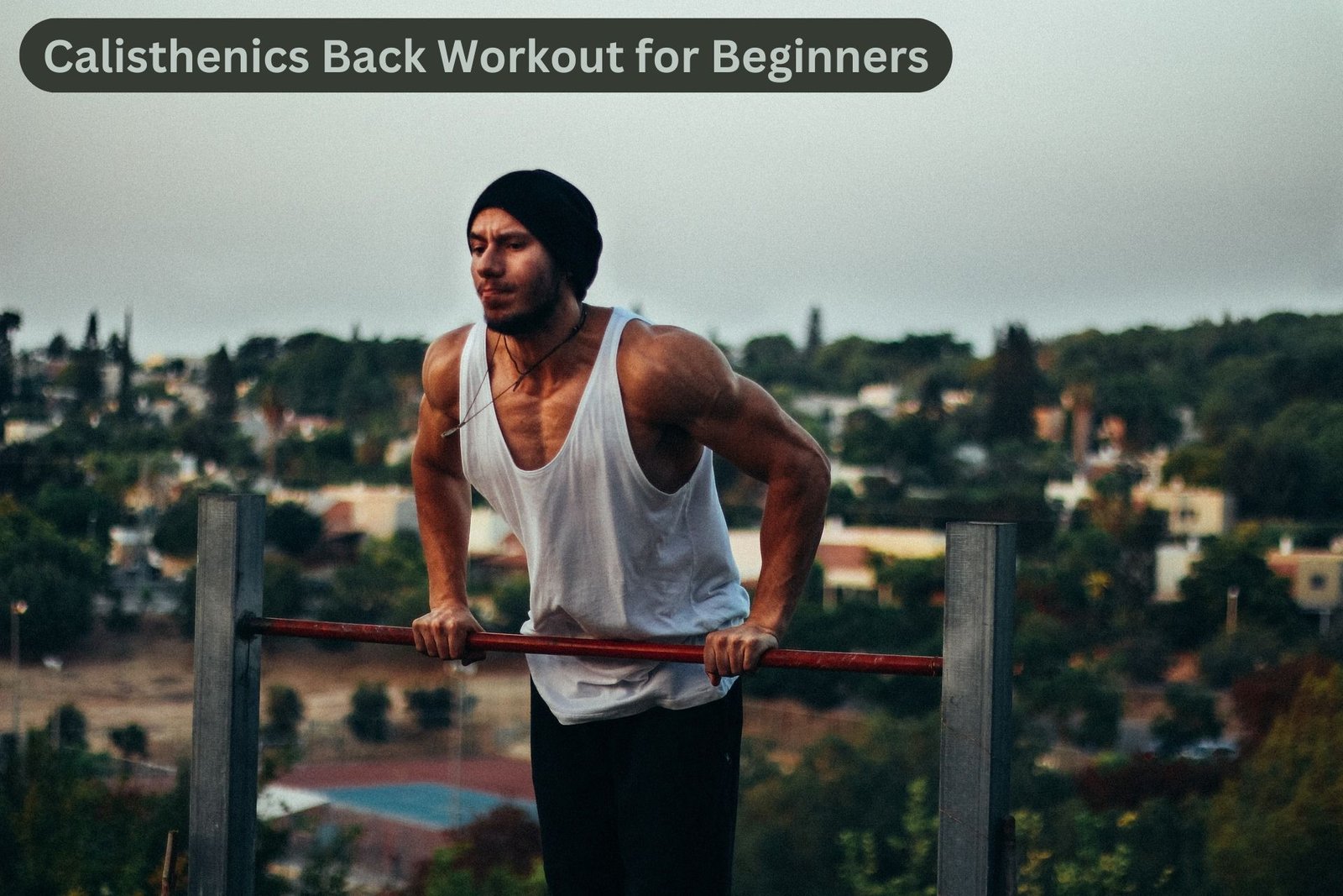 The Ultimate Calisthenics Back Workout for Beginners: Transform Your Strength Today!