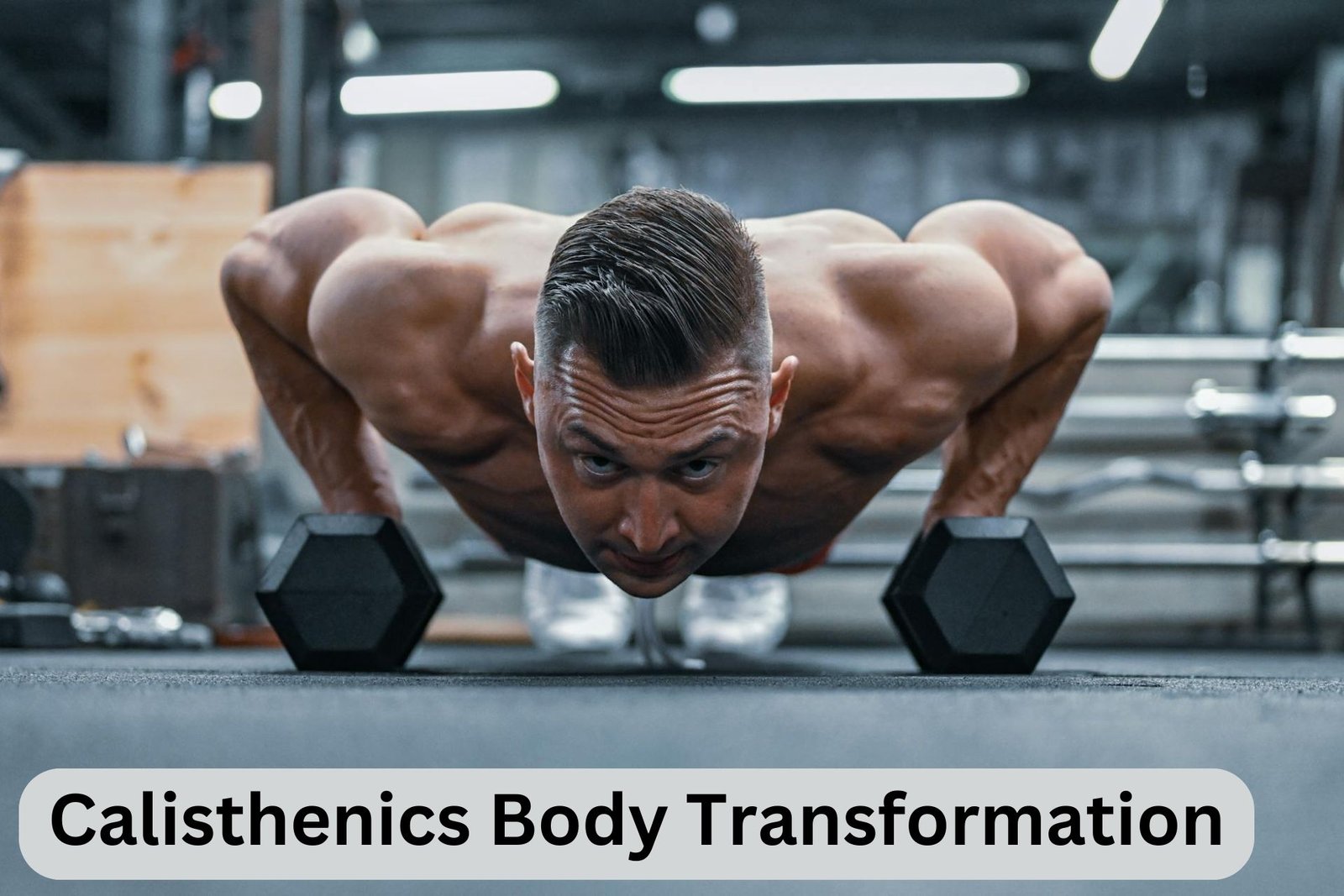 From Zero to Hero: The Brutally Effective Calisthenics Body Transformation Blueprint